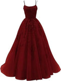 Shopmocho Tulle Spaghetti Straps Prom Dresses Long Lace Appliques Ball Gowns for Women