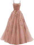 Shopmocho Tulle Spaghetti Straps Prom Dresses Long Lace Appliques Ball Gowns for Women