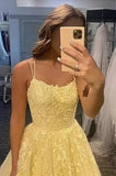 Shopmocho Tulle Spaghetti Straps Prom Dresses Long Lace Appliques Ball Gowns for Women